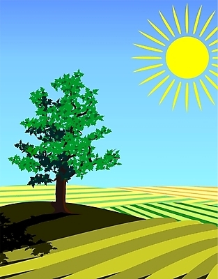 포토 JPG 해외이미지 나무 계절 밭 일러스트 자연 풍경 사람없음 초록색 여름 태양 노란색 맑음 싱글 해외202004 해외포토 자연요소 식물 컬러 농업 날씨 생태계 파일형식 이미지허브