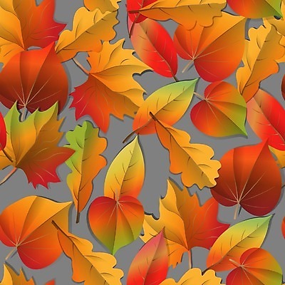 EPS 해외이미지 나무 식물 디자인 계절 백그라운드 단풍 잎 꽃무늬 패턴 오렌지 일러스트 자연 벽지 추상 미술 그래픽 장식 빨간색 컬러풀 갈색 노란색 유행 정원 가을 흰색 직물 숲 인쇄 9월 타일 그림 질감 자작나무 10월 내추럴 엘리먼트 해외202004 해외일러스트 꽃 컬러 무늬 과일 문화예술 날짜 생태계 파일형식 벡터 이미지허브