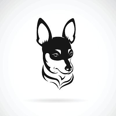 EPS 해외이미지 일러스트 사람없음 반려동물 검은색 흰색 개 강아지 치와와 해외202004 해외일러스트 동물 컬러 포유류 파일형식 벡터 이미지허브