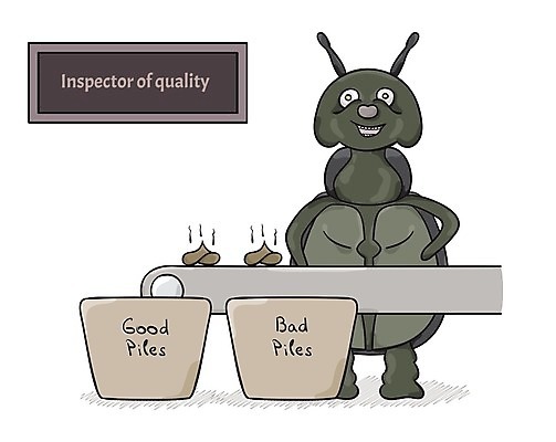 EPS 해외이미지 동물 캐릭터 디자인 행복 야생동물 곤충 일러스트 장난 자연 생물 안테나 미술 미소 초록색 연필 갈색 흰색 유머 해충 벌레 낙서 작음 만화 딱정벌레 그림 냄새 코믹 악취 고립 귀뚜라미 마스코트 오싹 해외202004 해외일러스트 일러캐릭터 감정 컬러 통신 문화예술 학용품 표정 필기구 크기 생태계 파일형식 벡터 이미지허브