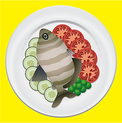 EPS 해외이미지 라이프스타일 접시 음식 바다 조각 다이어트 토마토 채소 일러스트 오이 건강 어류 요리 빨간색 초록색 빛 노란색 주방 식당 식사 저녁식사 회색 신선 맛 먹기 해산물 완두콩 내추럴 해외202004 해외일러스트 식기 컬러 컨셉 모션 콩 생활 상점 수중동물 파일형식 벡터 이미지허브