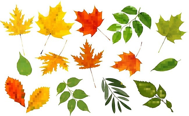 EPS 해외이미지 나무 식물 템플릿 디자인 계절 빵 백그라운드 잎 꽃무늬 농업 오렌지 일러스트 자연 추상 미술 목재 장식 빨간색 초록색 컬러풀 갈색 노란색 라벨 검은색 가을 신용카드 황금 낟알 시리얼 밀 수집 심볼 유기농 질감 내추럴 고립 엘리먼트 해외202004 해외일러스트 웰빙 꽃 산업 음식 컬러 무늬 과일 재료 문화예술 곡류 프레임 금융 생태계 파일형식 벡터 이미지허브