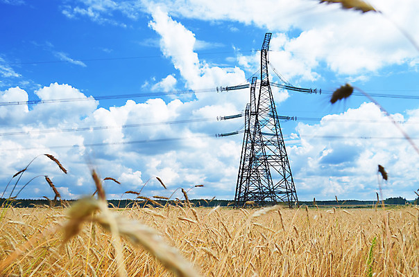 포토 JPG 해외이미지 나무 식물 구름 산업 음식 줄기 밭 농업 자연 하늘 날씨 건강 옥수수 씨앗 풍경 사람없음 야외 초록색 여름 농작물 햇빛 농장 노란색 수확 성장 시골 황금 땅 시리얼 밀 보리 철사 밀짚 블루스 숙성 호밀 수평선 해외202004 해외포토 자연요소 계절 컬러 곡류 태양 짚 생태계 파일형식 이미지허브
