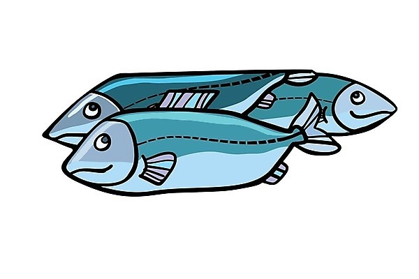 EPS 해외이미지 동물 디자인 야생동물 음식 바다 일러스트 비즈니스 재료 자연 낚시 건강 어류 미술 그래픽 물 파란색 강 식당 수중 수영 수확 신선 시장 만화 심볼 해산물 척추 사인 메뉴 복고 꼬리 심플 코믹 레시피 어장 내추럴 고립 동물상 팝 스타일 해외202004 해외일러스트 자연요소 컬러 농업 레저 문화예술 뼈 조형물 상점 수중동물 수상스포츠 생태계 파일형식 벡터 이미지허브