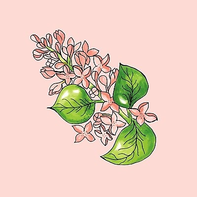 EPS 해외이미지 나무 식물 계절 꽃잎 꽃 길 분홍색 백그라운드 잎 꽃무늬 일러스트 자연 수채화 미술 장식 초록색 여름 정원 봄 성장 벚꽃 흰색 나뭇가지 신선 개화 사과 자르기 오브젝트 그림 꽃수술 해외202004 해외일러스트 컬러 무늬 과일 모션 문화예술 생태계 파일형식 벡터 이미지허브