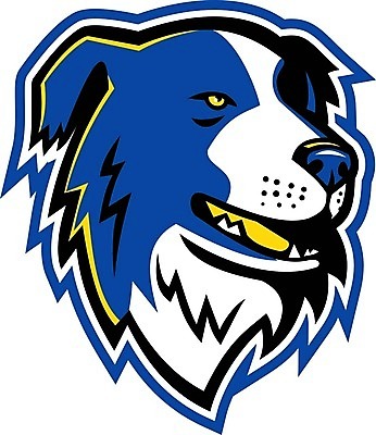 EPS 해외이미지 캐릭터 스포츠 일러스트 그래픽 반려동물 작업 양치기 개 만화 심볼 사인 복고 신분 보더콜리 송곳니 마스코트 해외202004 해외일러스트 일러캐릭터 동물 직업 포유류 치아 콜리 파일형식 벡터 이미지허브