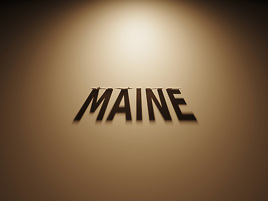 포토 JPG 해외이미지 일러스트 사람없음 3D 미국 투표 선거 민주주의 법 최초 공화국 대통령 정책 정치 헌법 해외202004 해외포토 나라 북아메리카 디지털합성 파일형식 이미지허브