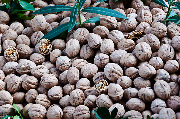 포토 JPG 해외이미지 계절 음식 백그라운드 패턴 농업 다이어트 과일 자연 추상 건조 건강 씨앗 사람없음 장식 갈색 견과류 수확 껍질 가을 흰색 오픈 그룹 시장 닫기 맛 먹기 가득함 유기농 질감 호두 칠면조 그리스인 내추럴 많음 해외202004 해외포토 서양인 식물 웰빙 산업 컬러 컨셉 무늬 모션 조류 생태계 파일형식 이미지허브