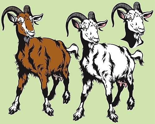 EPS 해외이미지 동물 척추동물 여자 농업 일러스트 포유류 염소 생물 뿔 서기 농장 갈색 머리 가축 우유 흰색 시골 양 소 심볼 사인 점성술 춘절 해외202004 해외일러스트 명절 산업 컬러 모션 유제품 사람 신체부위 중국전통 파일형식 벡터 이미지허브