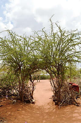 포토 JPG 해외이미지 나무 디자인 외관 건축양식 창문 주택 미소 앉기 풍경 잔디 사람없음 야외 초록색 여름 빛 갈색 문 정원 흰색 재산 시작 환영 단계 교외 진짜 해외202004 해외포토 식물 계절 건축 컬러 모션 표정 건물 금융 파일형식 이미지허브