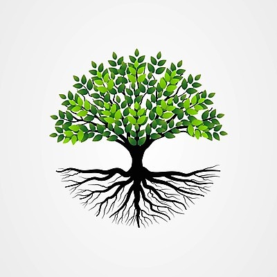 EPS 해외이미지 모양 나무 식물 디자인 계절 공원 실루엣 백그라운드 잎 꽃무늬 패턴 일러스트 자연 추상 건강 야외 목재 그래픽 장식 초록색 여름 환경 정원 봄 숲 심볼 그림 에코 유기농 올리브 뿌리 내추럴 고립 생태학 엘리먼트 스타일 해외202004 해외일러스트 웰빙 공공시설 교육 열매 꽃 컬러 무늬 재료 촬영기법 생태계 파일형식 벡터 이미지허브