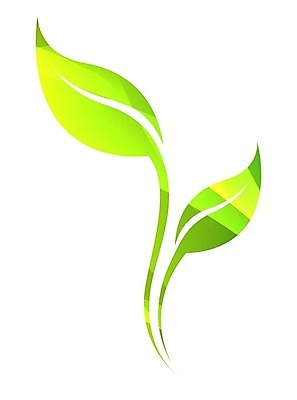 EPS 해외이미지 나무 식물 잡화 커피 선 잎 일러스트 자연 미술 초록색 빛 농작물 노란색 디지털 봄 줄무늬 심볼 사인 그림 에코 친환경 고립 생태학 활자 해외202004 해외일러스트 계절 교육 음료 컬러 무늬 농업 문화예술 환경 생태계 활자판 파일형식 벡터 이미지허브