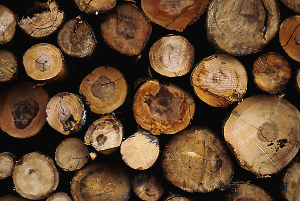 포토 JPG 해외이미지 모양 나무 디자인 산업 벽 백그라운드 패턴 자연 추상 미술 사람없음 목재 갈색 쌓기 시골 소나무 원형 주식 숲 장작 자르기 질감 통나무 잡동사니 벌목 수목 옛날 해외202004 해외포토 도형 식물 컬러 무늬 재료 모션 문화예술 금융 생태계 파일형식 이미지허브