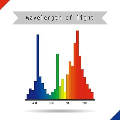 EPS 해외이미지 식물 디자인 꽃 백그라운드 컨셉 일러스트 그래프 그래픽 금융 픽토그램 정원 자료 웹 봄 인포그래픽 정보 성장 주식 수집 심볼 사인 보고서 심플 형광등 길이 진행 고립 모종 엘리먼트 자외선 적외선 주도 해외202004 해외일러스트 계절 인터넷 전등 경제 예절 파일형식 벡터 이미지허브
