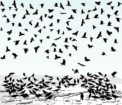 EPS 해외이미지 동물 디자인 야생동물 백그라운드 겨울 밭 일러스트 자연 조류 창조 검은색 어둠 우아함 심볼 부리 사냥꾼 까마귀 고립 집게발 해외202004 해외일러스트 직업 계절 컬러 컨셉 농업 생태계 파일형식 벡터 이미지허브