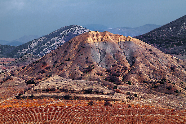 포토 JPG 해외이미지 식물 계절 산업 여행 잎 밭 농업 오렌지 자연 하늘 포도 바람 휴가 산 파노라마 풍경 사람없음 야외 초록색 태양 농장 노란색 와인 계곡 수확 성장 시골 언덕 포도밭 내추럴 양조 줄서기 수평선 해외202004 해외포토 자연요소 컬러 과일 모션 날씨 주류 촬영기법 생태계 파일형식 이미지허브