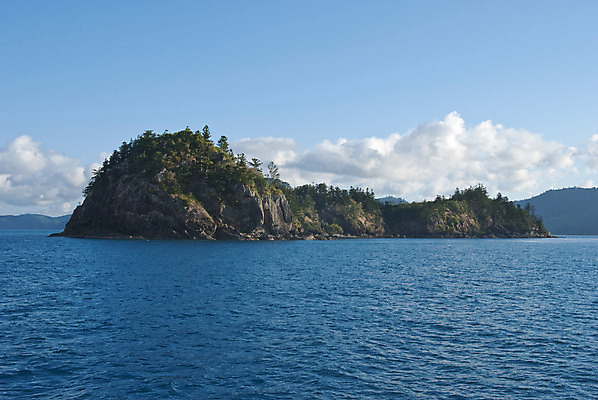 포토 JPG 해외이미지 구름 야생동물 바다 섬 여행 백그라운드 자연 휴가 사람없음 초록색 물 파란색 평화 호주 해외202004 해외포토 자연요소 동물 컬러 컨셉 오세아니아 생태계 파일형식 이미지허브