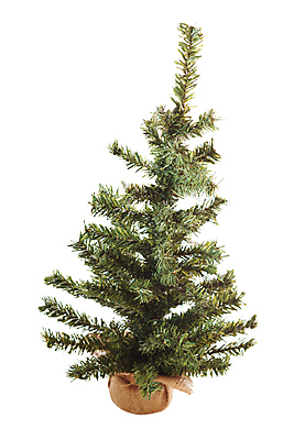 포토 JPG 해외이미지 나무 1 전통 디자인 실루엣 별 크리스마스 겨울 휴가 새해 크리스마스카드 서기 사람없음 장식 빛 장난감 크리스마스트리 축제 나뭇가지 축하 화려 심볼 오브젝트 흰배경 질감 기념품 스타일 해외202004 해외포토 자연요소 식물 계절 기념일 백그라운드 컨셉 모션 카드_감사 촬영기법 흰색 파일형식 이미지허브