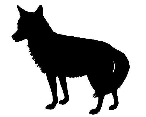 EPS 해외이미지 동물 실루엣 백그라운드 일러스트 빨간색 검은색 미국 흰색 이구아나 북쪽 늑대 고립 동물상 해외202004 해외일러스트 컬러 북아메리카 포유류 파충류 촬영기법 조형물 방향 파일형식 벡터 이미지허브