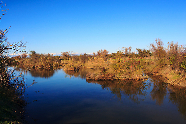 포토 JPG 해외이미지 자연 사람없음 물 강 입 습지 석호 망아지 보호구역 파멸 해외202004 해외포토 자연요소 새끼 컨셉 신체부위 말_동물 생태계 구역 파일형식 소멸 이미지허브