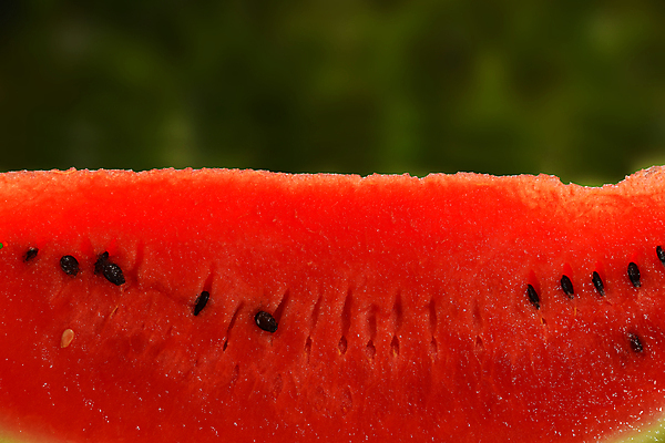 포토 JPG 해외이미지 음식 조각 백그라운드 과일 자연 디저트 수박 건강 씨앗 사람없음 빨간색 초록색 햇빛 신선 투명 먹기 묘사 질감 내추럴 해외202004 해외포토 식물 컬러 모션 태양 생태계 파일형식 이미지허브