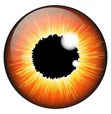 EPS 해외이미지 학생 디자인 응시 백그라운드 오렌지 일러스트 공 해부 추상 미술 사람 그래픽 초록색 파란색 빛 컬러풀 반사 갈색 회색 흰색 원형 눈동자 심볼 흰배경 질감 시력 비전 붓꽃 개암나무 고립 엘리먼트 여의주 스타일 현실 해외202004 해외일러스트 도형 나무 시선 꽃 컬러 무늬 과일 의학 문화예술 눈 안구 파일형식 벡터 식물 신체부위 이미지허브