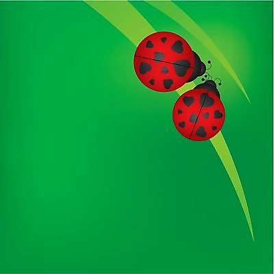 EPS 해외이미지 동물 디자인 커플 계절 곤충 결혼 백그라운드 컨셉 일러스트 자연 아이디어 발렌타인데이 사랑 장식 빨간색 초록색 여름 검은색 덮개 하트 신용카드 벌레 딱정벌레 생물학 무당벌레 내추럴 해외202004 해외일러스트 모양 교육 감정 컬러 관계 데이이벤트 이벤트 금융 뚜껑 생태계 파일형식 벡터 이미지허브