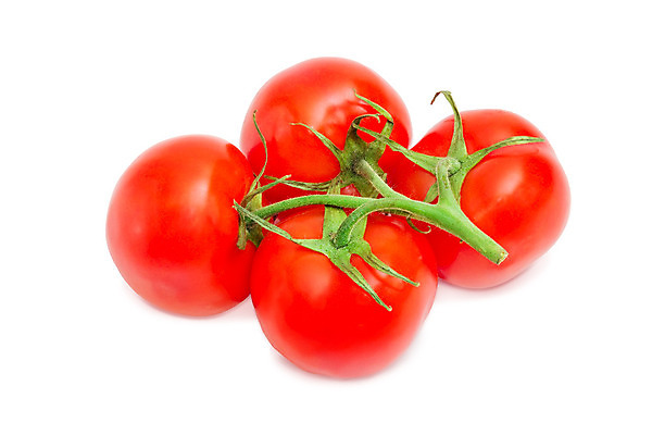 포토 JPG 해외이미지 식물 음식 줄기 농업 토마토 채소 과일 종류 요리 사람없음 샐러드 수확 나뭇가지 신선 다발 고립 숙성 해외202004 해외포토 나무 산업 파일형식 이미지허브