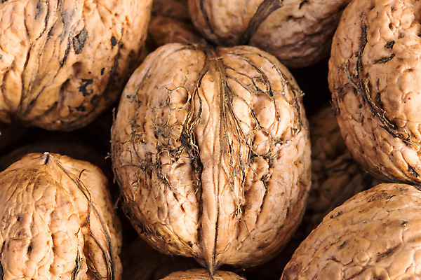 포토 JPG 해외이미지 음식 백그라운드 잎 패턴 농업 재료 자연 탁자 추상 건강 사람없음 가로 갈색 견과류 수확 껍질 가을 흰색 오픈 그룹 맛 널 먹기 오브젝트 유기농 질감 알맹이 호두 내추럴 폭식 고립 그런지 깨짐 라마단 식용 옛날 채식주의자 많음 해외202004 해외포토 식물 웰빙 계절 산업 컬러 가구 컨셉 무늬 모션 생태계 채식 파일형식 이미지허브