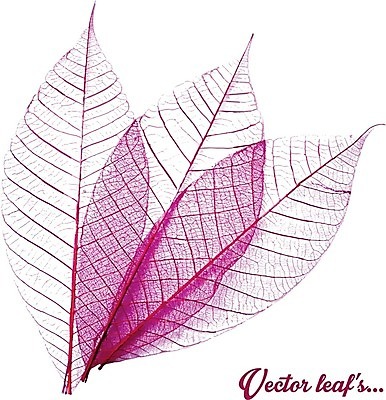 EPS 해외이미지 모양 나무 식물 디자인 배너 계절 실루엣 종이 백그라운드 잎 꽃무늬 패턴 일러스트 자연 벽지 추상 프레임 골격 사랑 미술 그래픽 빛 유행 환경 정원 봄 흰색 나뭇가지 우아함 에코 질감 내추럴 그런지 바이오 생태학 회복 해외202004 해외일러스트 교육 꽃 감정 컬러 컨셉 무늬 문화예술 촬영기법 생태계 파일형식 벡터 이미지허브