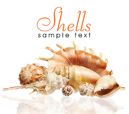 포토 JPG 해외이미지 디자인 별 모래 파도 바다 백그라운드 컨셉 패턴 곡선 자연 휴가 조개 미술 사람없음 야외 컬러풀 환경 껍질 선택 수집 배열 묘사 질감 모음 내추럴 고립 생태학 이국적 파라다이스 많음 해외202004 해외포토 자연요소 교육 선 컬러 무늬 문화예술 어패류 한글 생태계 파일형식 이미지허브