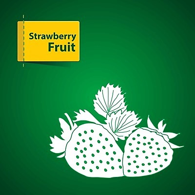 EPS 해외이미지 라이프스타일 디자인 음식 조각 스티커 오렌지 일러스트 자연 딸기 포도 수박 건조 바나나 건강 초록색 여름 라벨 정원 주스 수확 신선 체리 시장 달콤 맛 사과 만화 레몬 파인애플 그림 클립 산딸기 망고 고립 배려 살구 숙성 채식주의자 비건 해외202004 해외일러스트 계절 음료 컬러 컨셉 농업 과일 프레임 생활 열대과일 생태계 채식 파일형식 벡터 이미지허브