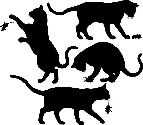EPS 해외이미지 동물 디자인 실루엣 일러스트 포유류 놀이 그래픽 반려동물 검은색 고양이 잡기 쥐 설치류 먹이 연습 윤곽 육식동물 고문 해외202004 해외일러스트 컬러 모션 촬영기법 파일형식 벡터 이미지허브
