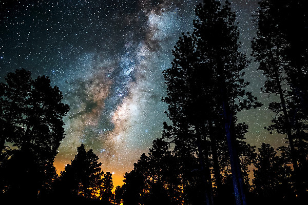 포토 JPG 해외이미지 나무 실루엣 별 백그라운드 크리스마스 겨울 자연 하늘 산 풍경 사람없음 야외 파란색 빛 우주 냉동 검은색 소리 별자리 소나무 야간 숲 코스모스 서리 은하계 스카이라인 내추럴 무한 방법 눈내림 가문비나무 해외202004 해외포토 자연요소 식물 계절 기념일 꽃 컬러 눈_날씨 촬영기법 생태계 파일형식 이미지허브