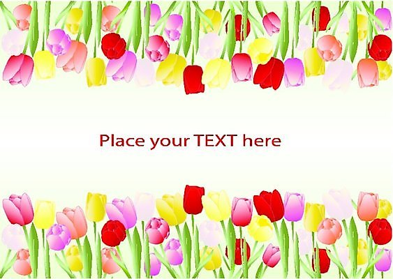 EPS 해외이미지 식물 편집 디자인 배너 꽃 포스터 백그라운드 컨셉 잎 꽃무늬 패턴 일러스트 회사 텍스트 자연 벽지 프레임 미술 경사 그래픽 장식 초록색 빛 컬러풀 우주 페인트 봄 튤립 흰색 인사 신용카드 우아함 시원함 환영 내추럴 회복 스타일 해외202004 해외일러스트 계절 컬러 무늬 비즈니스 문화예술 금융 예절 생태계 파일형식 벡터 이미지허브