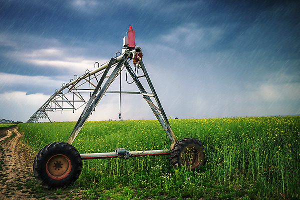 포토 JPG 해외이미지 식물 구름 밭 농업 하늘 날씨 건조 사람없음 물 여름 농작물 농장 농경지 기계 장비 성장 시골 땅 유채 유기농 분무기 가뭄 밭일 스프링쿨러 자동 세련 해외202004 해외포토 자연요소 웰빙 계절 꽃 산업 파일형식 이미지허브