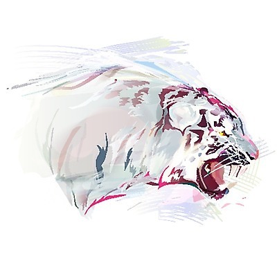 EPS 해외이미지 동물 야생동물 일러스트 포유류 자연 수채화 동물원 창조 미술 그래픽 고양이 힘 줄무늬 흰색 호랑이 큼 사파리 그림 육식동물 사냥꾼 치타 표범 동물상 마스코트 해외202004 해외일러스트 직업 컬러 무늬 문화예술 반려동물 조형물 크기 생태계 파일형식 벡터 이미지허브