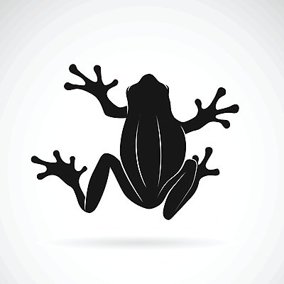 EPS 해외이미지 나무 동물 1 디자인 행복 실루엣 야생동물 선 음식 백그라운드 일러스트 자연 추상 동물원 육류 개구리 양서류 미술 그래픽 검은색 식사 프랑스 흰색 유머 작음 만화 문신 심볼 사인 윤곽 두꺼비 고립 마스코트 엘리먼트 특별함 해외202004 해외일러스트 식물 감정 유럽 컬러 컨셉 무늬 식재료 문화예술 촬영기법 크기 생태계 파일형식 벡터 나라 이미지허브