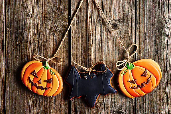 포토 JPG 해외이미지 백그라운드 탁자 디저트 매달리기 사람없음 장식 쿠키 할로윈 가을 달콤 박쥐 잭오랜턴 핸드메이드 호러 나무배경 해외202004 해외포토 계절 음식 가구 포유류 모션 맛 공포 파일형식 이미지허브