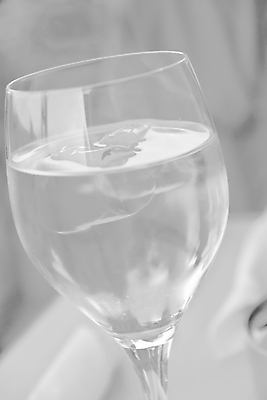 포토 JPG 해외이미지 음료 백그라운드 와인잔 유리 흑백 사람없음 물 식당 와인 얼음 회색 흰색 큐브 소다 해외202004 해외포토 자연요소 컬러 술잔 재질 주류 촬영기법 상점 파일형식 이미지허브