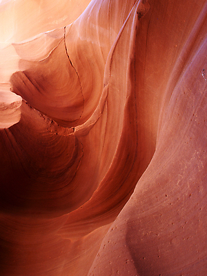 포토 JPG 해외이미지 주간 자연 풍경 사람없음 야외 사막 바위 사암 그랜드캐니언 웅장함 해외202004 해외포토 자연요소 미국 돌_바위 생태계 파일형식 이미지허브