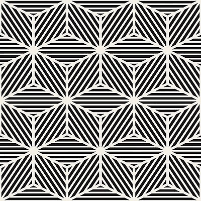 EPS 해외이미지 디자인 선 백그라운드 패턴 일러스트 벽지 추상 흑백 미술 그래픽 장식 유행 검은색 블록 수확 덮개 흰색 직물 클래식 타일 큐브 질감 복고 정사각형 날카로움 모자이크 육각형 엘리먼트 포장소품 스타일 힙스터 효과 해외202004 해외일러스트 도형 패션 컬러 컨셉 무늬 농업 포장 문화예술 촬영기법 뚜껑 오브젝트 포장재료 파일형식 벡터 이미지허브