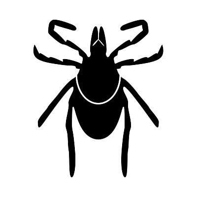 EPS 해외이미지 곤충 일러스트 검은색 고통 벌레 질병 위험 기생충 해외202004 해외일러스트 동물 감정 컬러 컨셉 의학 바이러스 파일형식 벡터 이미지허브