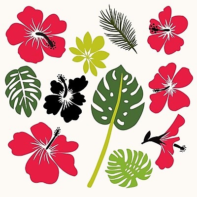 EPS 해외이미지 나무 식물 디자인 꽃 실루엣 백그라운드 잎 꽃무늬 패턴 일러스트 자연 손바닥 미술 그래픽 장식 초록색 파란색 세트 벚꽃 나뭇가지 인쇄 하와이 고립 하와이인 히비스커스 해외202004 해외일러스트 외국인 손 컬러 무늬 문화예술 촬영기법 미국 생태계 파일형식 벡터 이미지허브