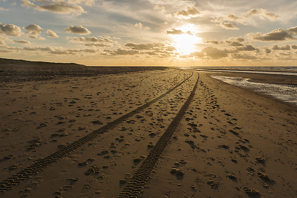 포토 JPG 해외이미지 구름 모래 파도 바다 조각 섬 오렌지 사람없음 옆모습 물 파란색 빛 모래사장 태양 걷기 일몰 저녁 인쇄 발자국 모래언덕 산등성이 타이어 트랙 북쪽 선로 해외202004 해외포토 자연요소 뷰포인트 컬러 과일 자국 모션 산 노을 야간 방향 언덕 파일형식 이미지허브