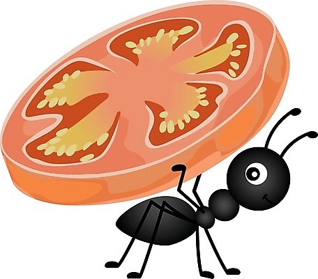 EPS 해외이미지 클립아트 식물 동물 음식 조각 곤충 과일 일러스트 자연 노동자 바나나 그래픽 여름 소풍 만화 먹기 개미 고립 동물상 해외202004 해외일러스트 직업 계절 모션 조형물 야외활동 생태계 파일형식 벡터 이미지허브