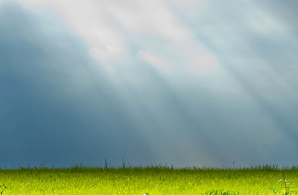 포토 JPG 해외이미지 나무 구름 계절 백그라운드 자연 하늘 아침 날씨 풍경 사람없음 목재 초록색 빛 햇빛 태양 평화 일출 맑음 어둠 희망 새벽 광선 흰색 숲 신비 내추럴 선로 해외202004 해외포토 주간 자연요소 식물 감정 컬러 컨셉 재료 노을 생태계 파일형식 이미지허브