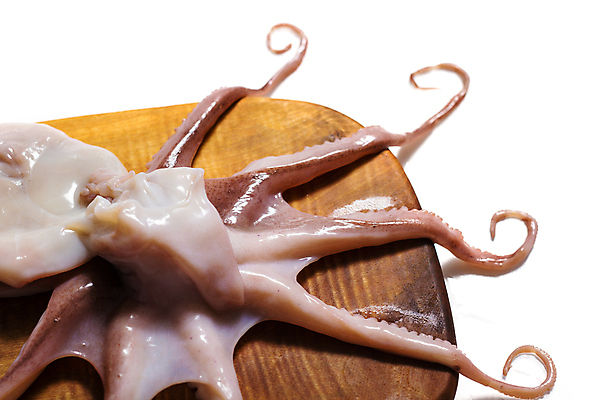 포토 JPG 해외이미지 동물 음식 바다 백그라운드 패턴 재료 부분 자연 낚시 생물 잉크 나선형 건강 육류 어류 요리 사람없음 가로 빨간색 물 보라색 흰색 신선 맛 해산물 오브젝트 오징어 날것 냄새 문어 촉수 내추럴 고립 해외202004 해외포토 자연요소 컬러 컨셉 무늬 식재료 레저 연체동물 수중동물 생태계 파일형식 이미지허브