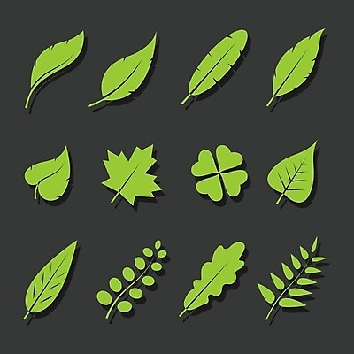 EPS 해외이미지 모양 나무 식물 디자인 계절 꽃 실루엣 백그라운드 컨셉 단풍 잎 일러스트 자연 추상 손바닥 미술 초록색 여름 세트 검은색 4 클로버 토끼풀 수집 문신 심볼 깃털 오브젝트 클립 자작나무 내추럴 고립 미루나무 엘리먼트 잇몸 플라타너스 해외202004 해외일러스트 손 컬러 무늬 신체 문화예술 촬영기법 숫자 생태계 파일형식 벡터 이미지허브