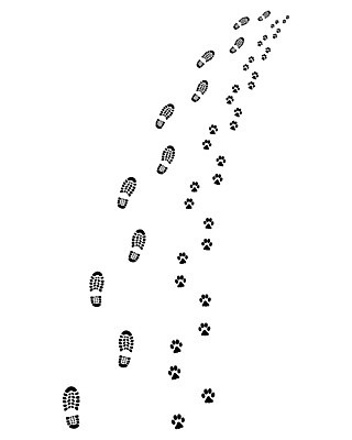 EPS 해외이미지 동물 남자 실루엣 길 신발 2 일러스트 손가락 자국 추상 사람 물 파란색 반려동물 검은색 산책 거품 흰색 하트 액체 개 떨어짐 인쇄 발자국 왼쪽 심볼 윤곽 발가락 우표 단계 내추럴 고립 선로 양발 자취 각인 해외202004 해외일러스트 자연요소 모양 손 컬러 컨셉 무늬 포유류 발 휴식 촬영기법 방향 파일형식 벡터 이미지허브